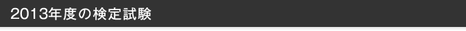 2013年度の検定試験